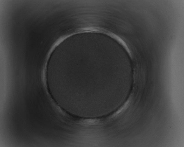 X0000100391373200806061245