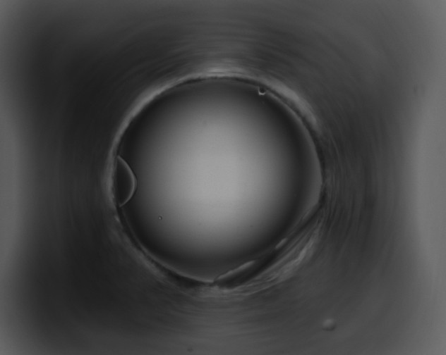 X0000100391374200806061245