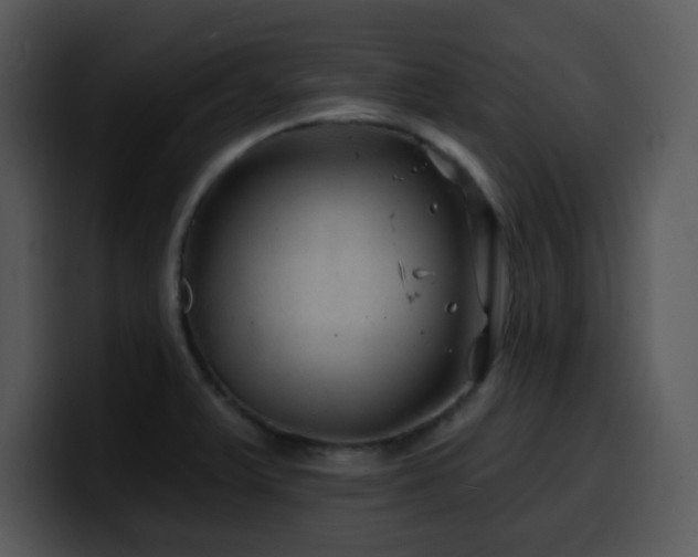 X0000100391375200806061245