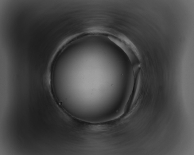 X0000100391376200806061245