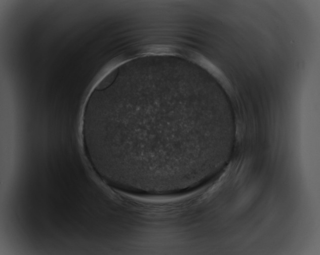 X0000100391378200806061245