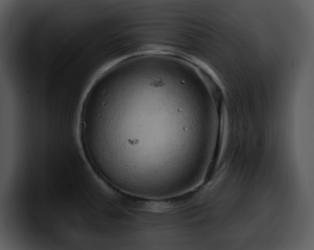 X0000100391379200806061245