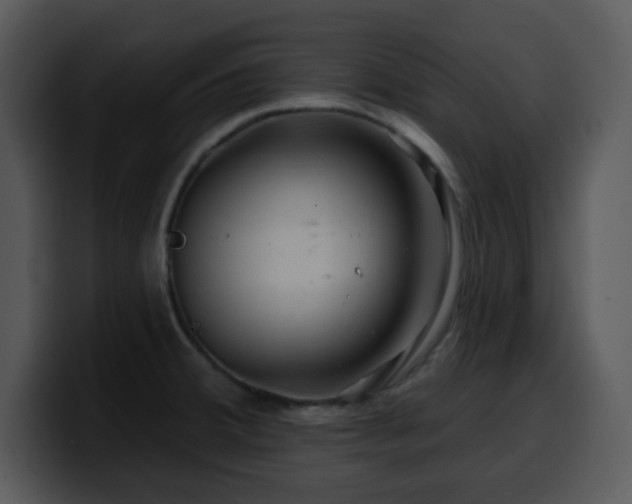 X0000100391380200806061245