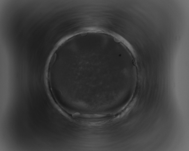 X0000100391381200806061245