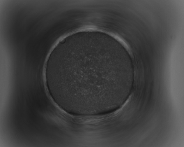 X0000100391382200806061245