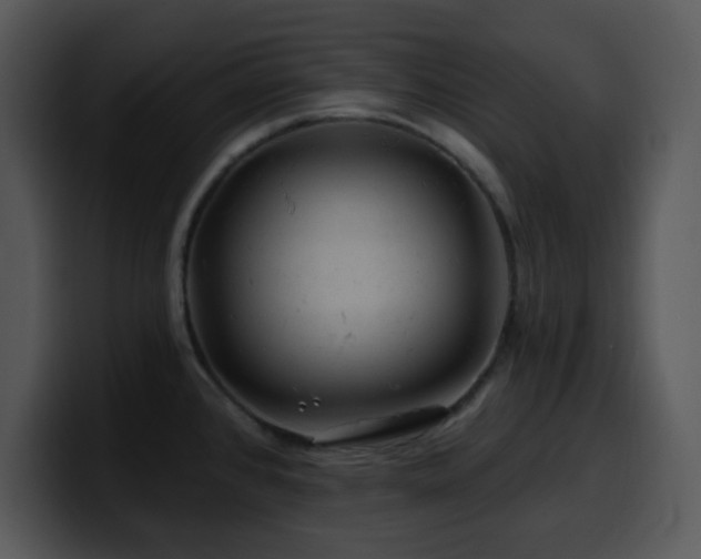 X0000100391384200806061245