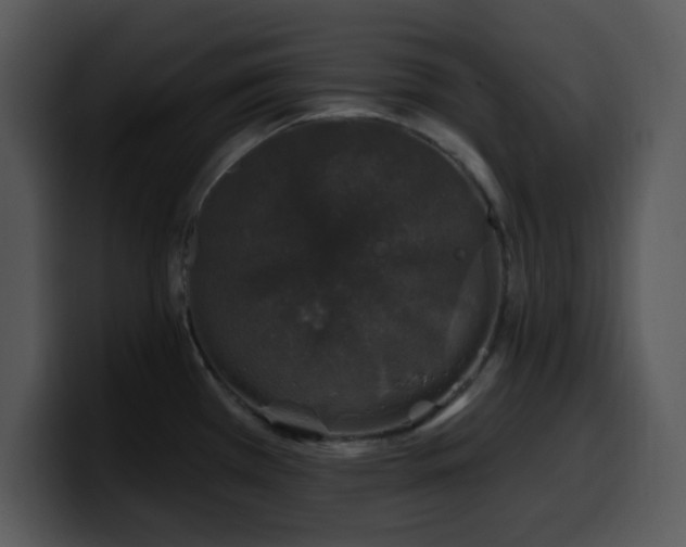 X0000100391385200806061245