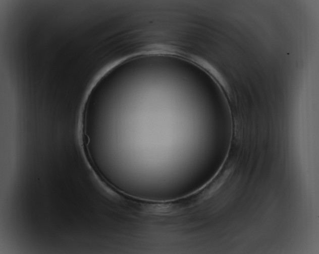 X0000100391387200806061245