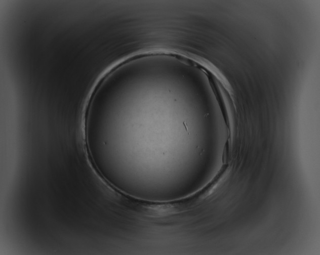 X0000100391388200806061245