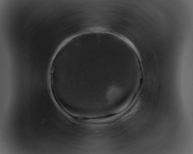 X0000100391389200806061245