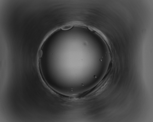 X0000100391390200806061245