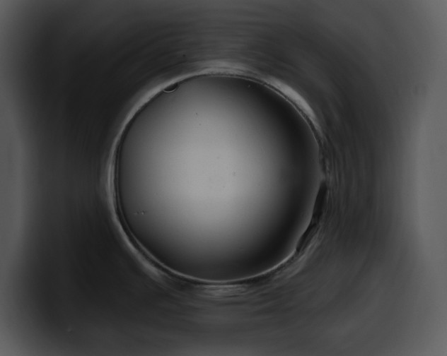 X0000100391391200806061245