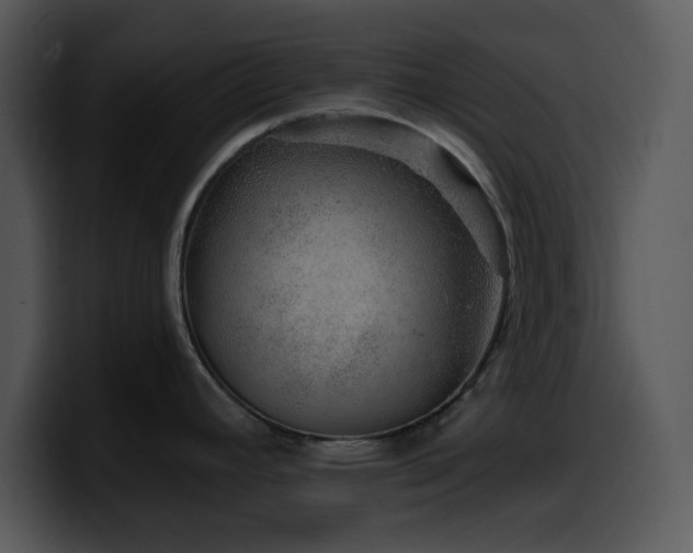 X0000100391392200806061245