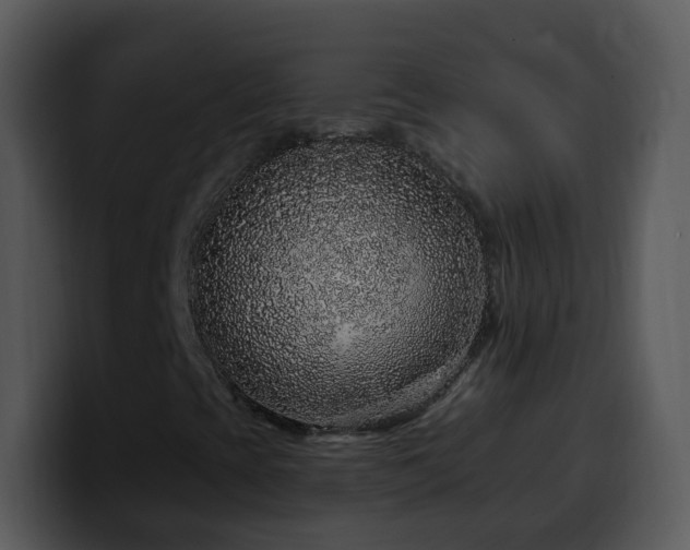 X0000100391393200806061244