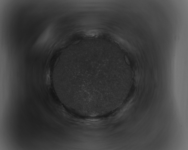 X0000100391394200806061244