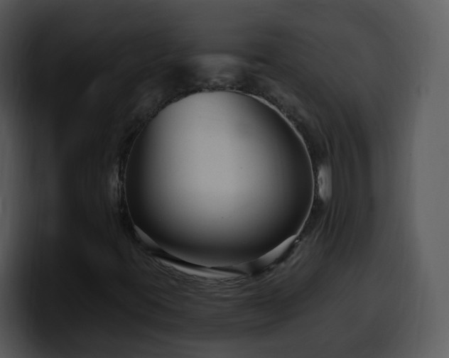 X0000100391395200806061244