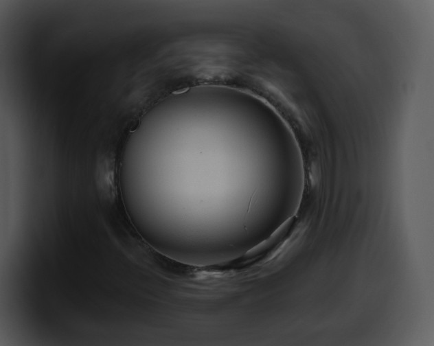 X0000100391396200806061244