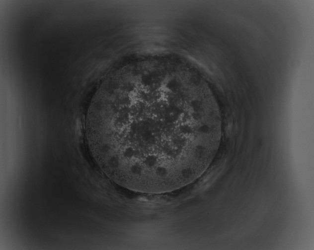 X0000100391397200806061244
