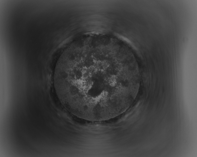 X0000100391399200806061244