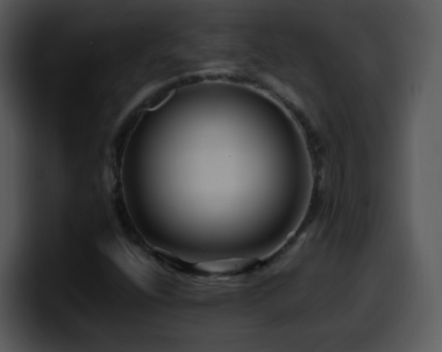 X0000100391400200806061244