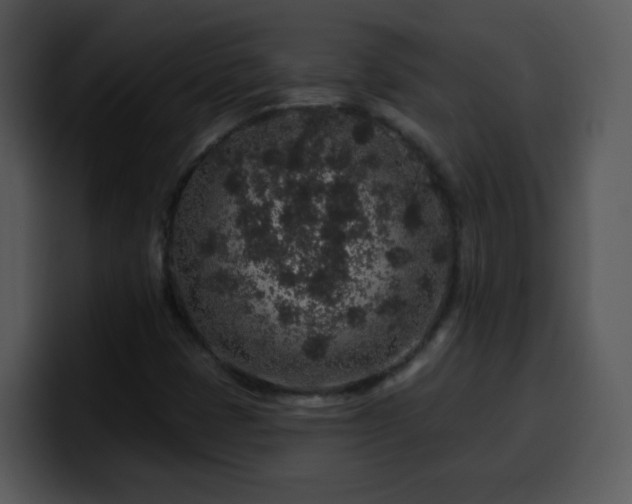 X0000100391401200806061244