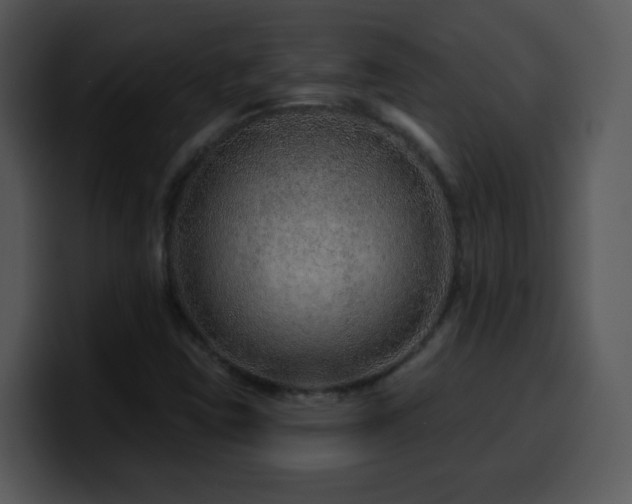 X0000100391403200806061244