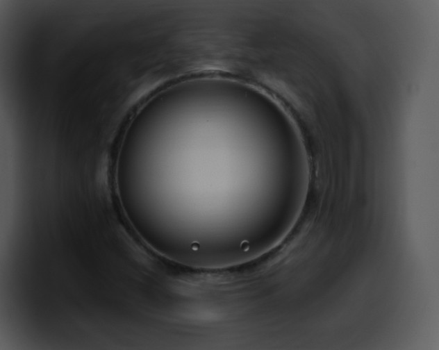X0000100391404200806061244
