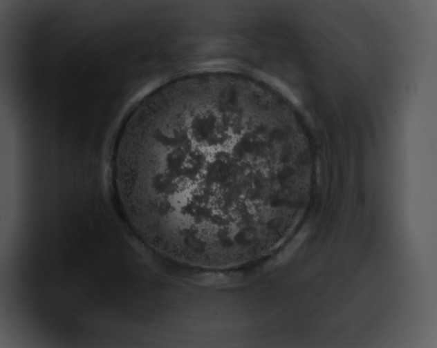 X0000100391405200806061244