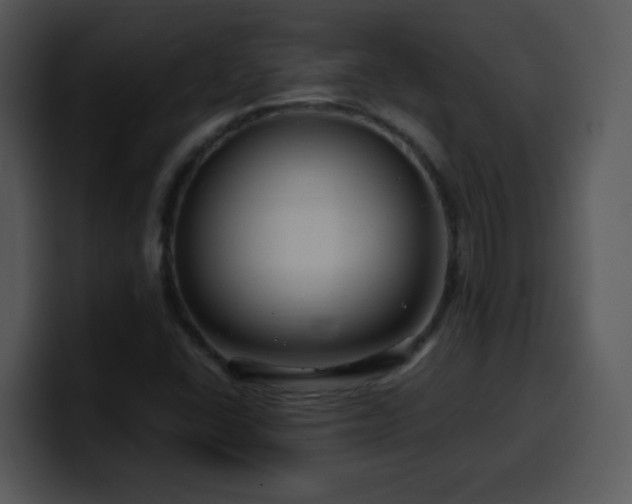 X0000100391406200806061244