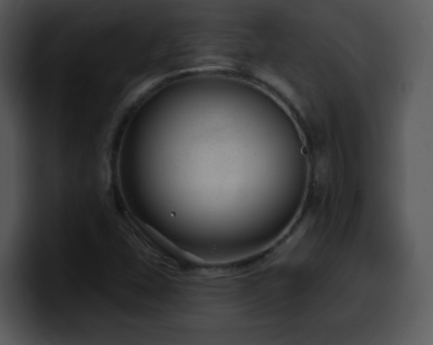 X0000100391407200806061244