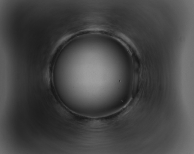 X0000100391408200806061244
