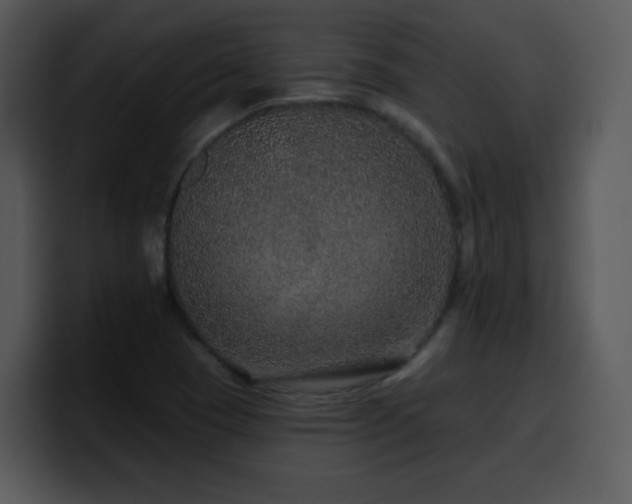 X0000100391409200806061244