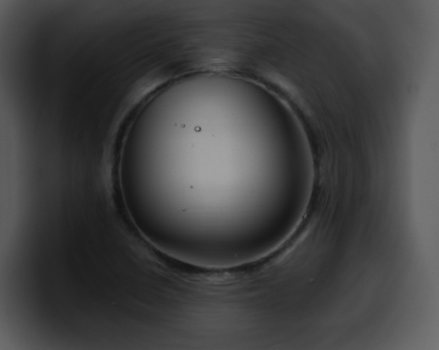 X0000100391410200806061244