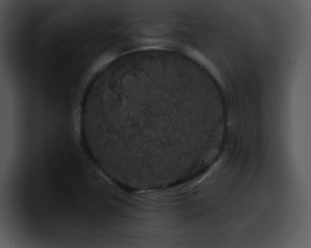 X0000100391411200806061244