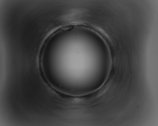 X0000100391412200806061244
