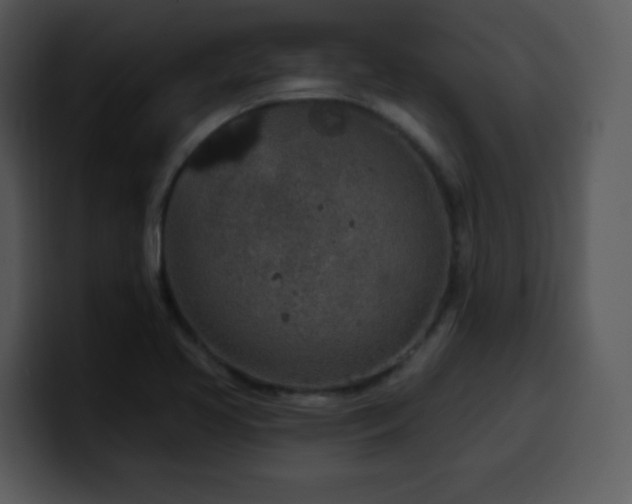X0000100391413200806061244