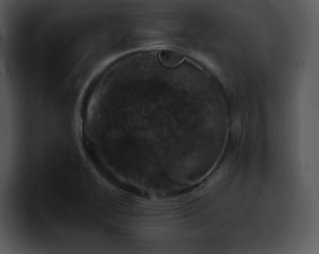 X0000100391414200806061244