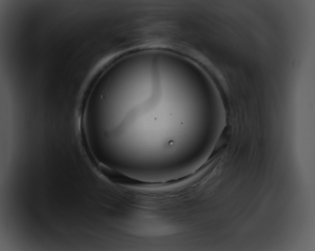X0000100391416200806061244