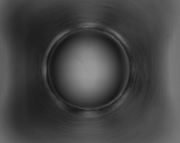 X0000100391418200806061244