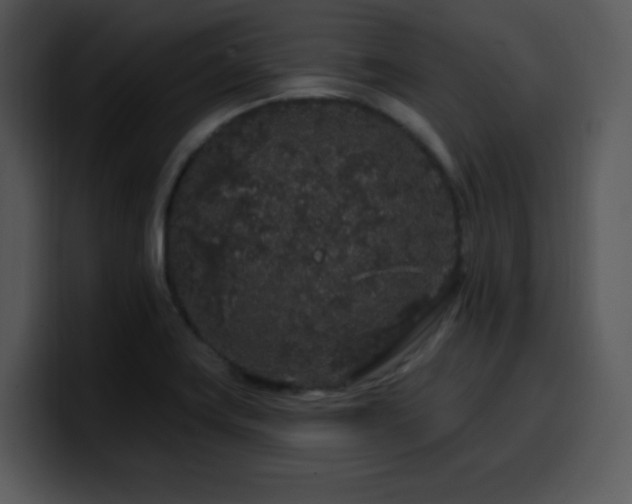 X0000100391419200806061244