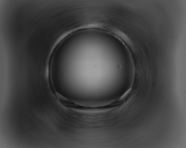X0000100391420200806061244