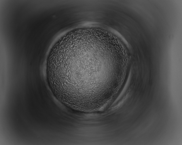 X0000100391421200806061244