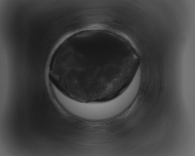 X0000100391422200806061244