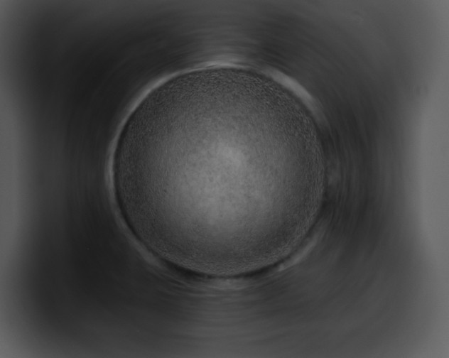 X0000100391423200806061244