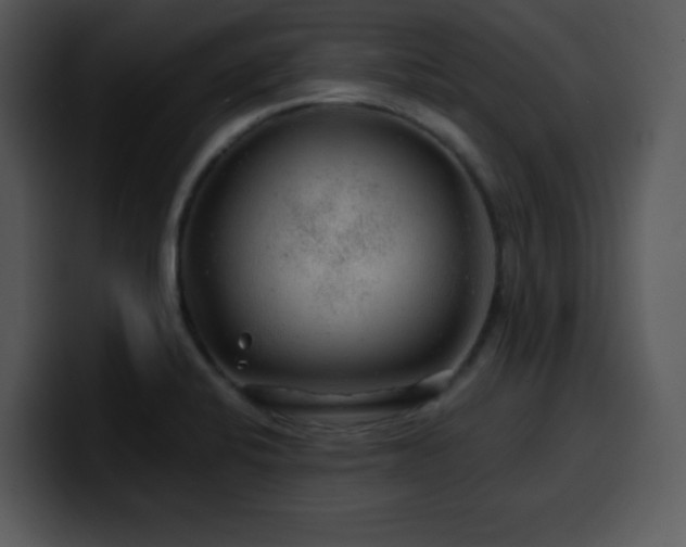 X0000100391424200806061244
