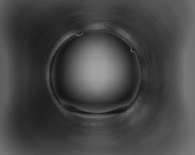 X0000100391426200806061245
