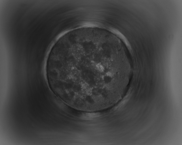 X0000100391427200806061245
