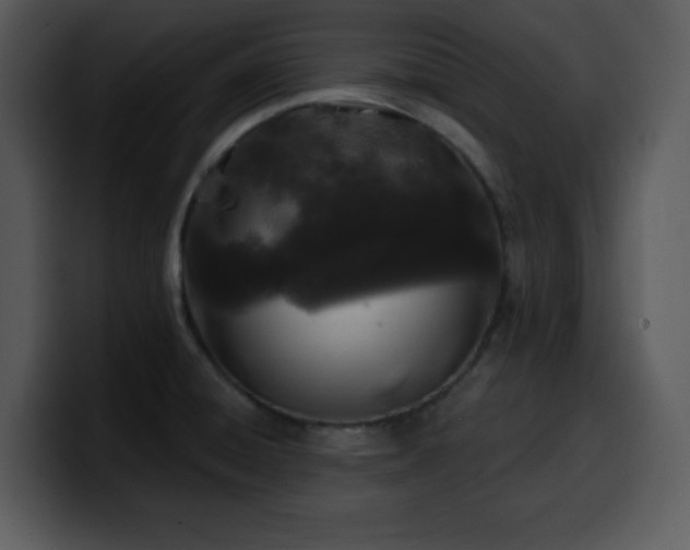 X0000100391428200806061245