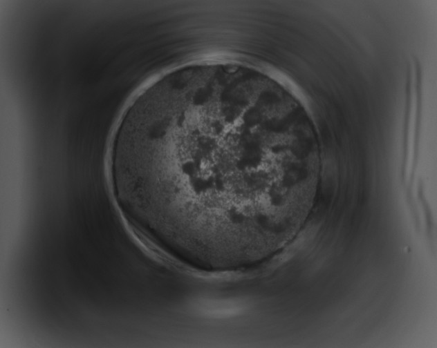 X0000100391429200806061245