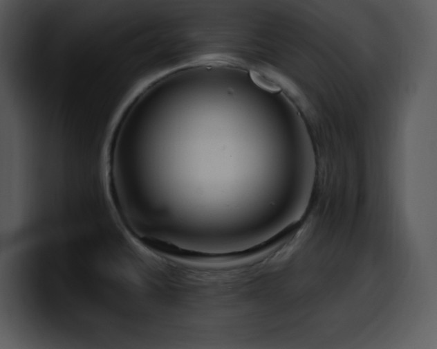 X0000100391430200806061245